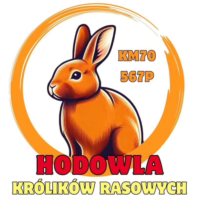 hodowla królików